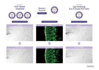 Crema antirid reparatoare, cu elastina si colagen, Repair Perfect, Re:born, Cosheal Professional, 50 g