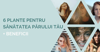 6 plante pentru ingrijirea naturala a parului + beneficii - Tuju