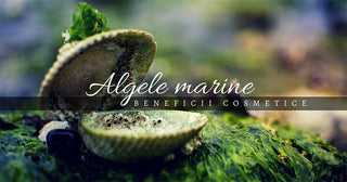 Algele marine - beneficii cosmetice