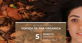 De ce sa alegi o vopsea de par ecologica, pe baza de plante? 5 beneficii pentru parul tau - Tuju