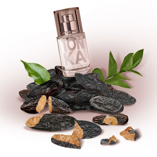 Apa de parfum Tonka, SoliNotes, 15 ml