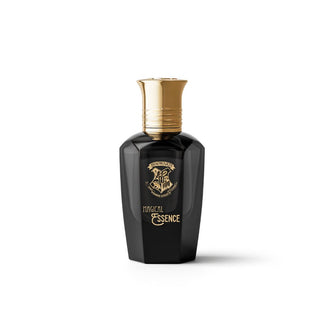 Apa de parfum pentru barbati Hogwarts Magical Essence Ambition, Harry Potter Wizarding World, 50 ml