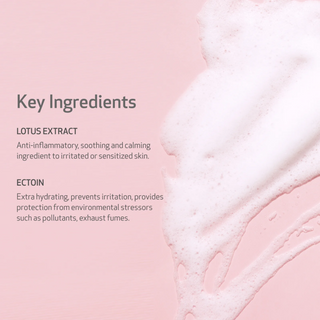 Spuma de curatare demachianta, cu extract de floare de lotus si ectoina, Gentle AF, Indeed Labs, 150 ml