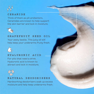 An informational graphic on a bright blue background showing a close-up of a white cosmetic product with text callouts for Ceramide, Grapefruit Seed Oil, Hyaluronic Acid, and Natural Deodorisers, accompanied by small icon illustrations.